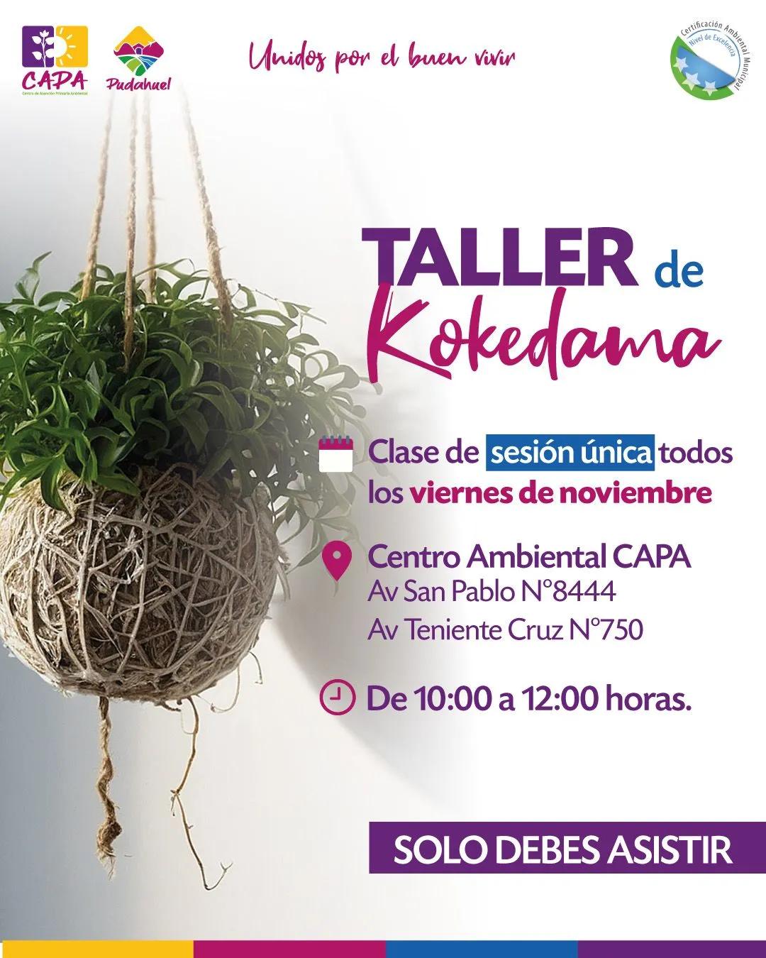 Municipalidad de Pudahuel