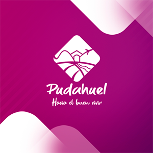 Municipalidad de Pudahuel